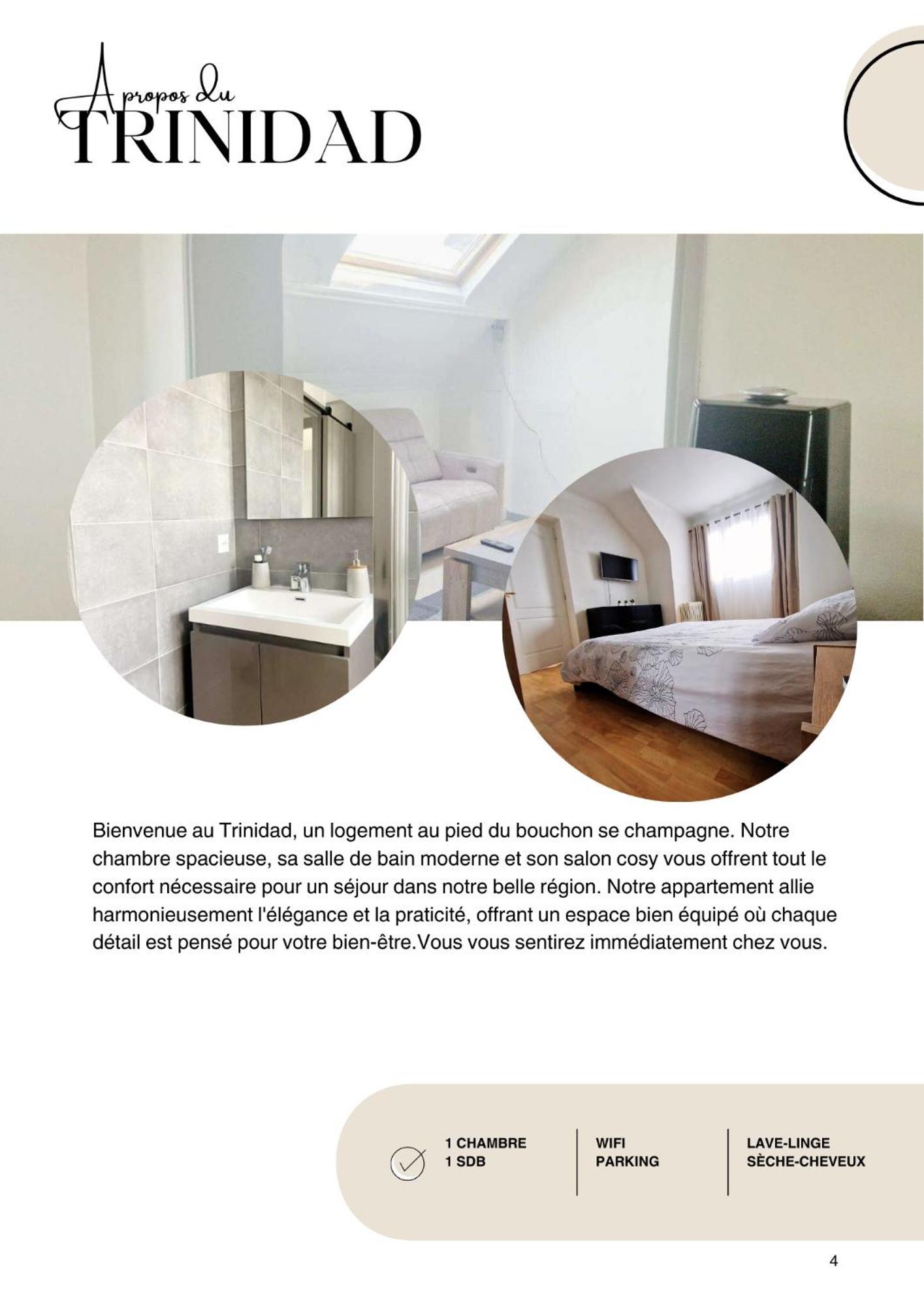 Apartamento Le Trinidad Troyes Exterior foto